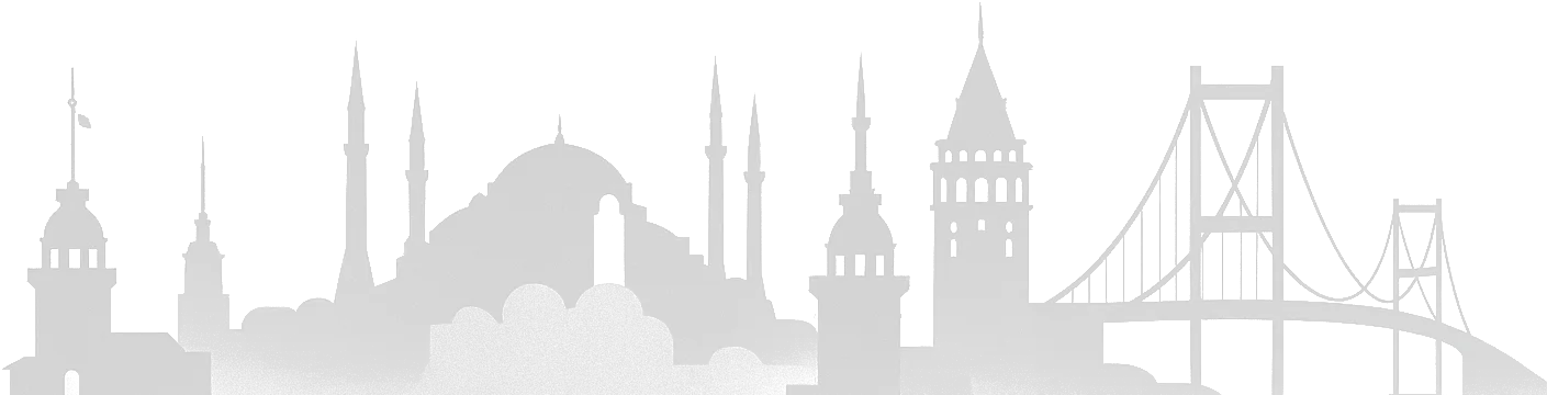 Istanbul skyline